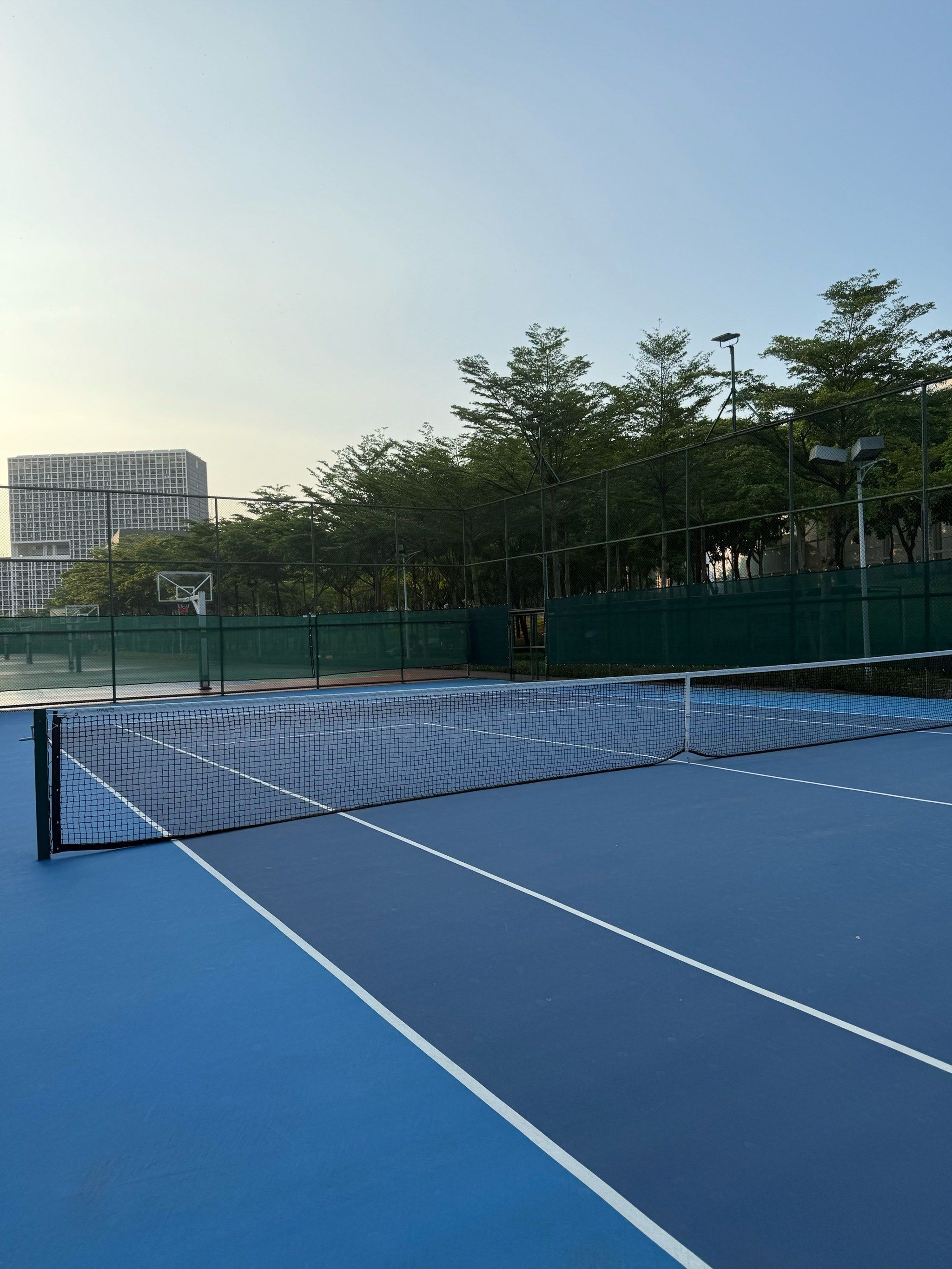 林狼整体实 林狼整体实